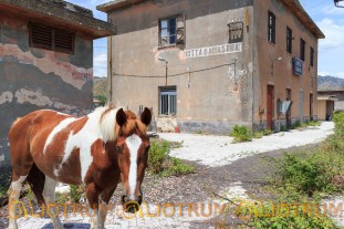 Linea ferroviaria abbandonata
