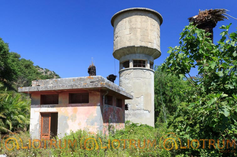 Alcantara - Randazzo